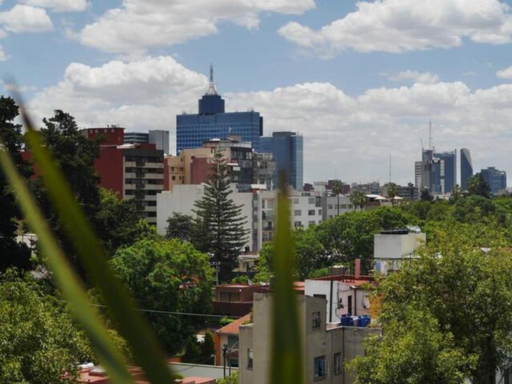 Pequena Habitacion Frida - Design Cdmx - Areas Comunes Compartidas Kota Meksiko Bagian luar foto